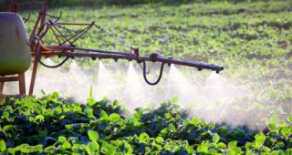 Monsanto и Sumitomo Chemical започват сътрудничество в разработки за защита на културите със следващо поколение PPO технологии
