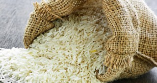 Китайци предлагат технология за отглеждане на ориз в пустинята