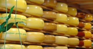 Ръст от 6,5% за швейцарските износители на сирена за първото полугодие