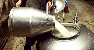 ANSVSA нареди ограничителни мерки за търговията с мляко и млечни продукти от България