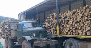Горски инспектори от РДГ- Велико Търново констатираха незаконна сеч и в църковни гори