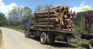 Масирани проверки по опазване на горите в Ловешка и Велико Търновска области