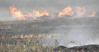 Продължава гасенето на пожара в община Маджарово