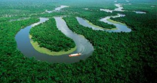 Борбата с незаконната сеч в тропическите гори подпомогната от Google