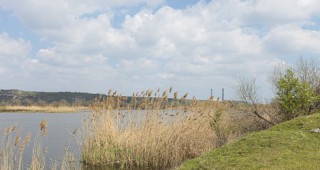 Вероятна причина за измиране на риба в Белославско езеро е ниско съдържание на разтворен кислород и висока температура на водата