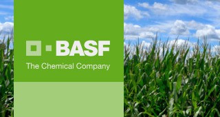 Растителна защита от БАСФ при царевицата