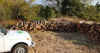 Горски инспектори от РДГ Бургас конфискуваха 22 куб. незаконни дърва
