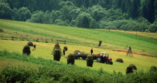 Селското стопанство допринася за 45% от замърсяването на въздуха в Германия