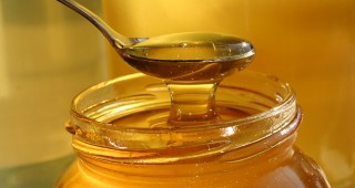 БАБХ изследва 27 проби за фалшив мед