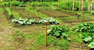 Земеделска програма в защита на органичното земеделие