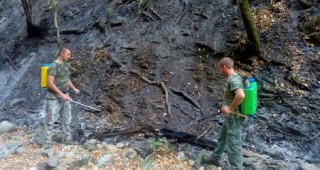 Над 100 горски служители участваха в гасенето на пожара в местността Камъка