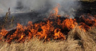 От началото на годината във Варна и региона са регистрирани 2600 пожара