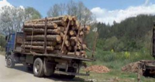 Товарен камион и 50 куб. м дърва за огрев задържаха инспектори на РДГ – София