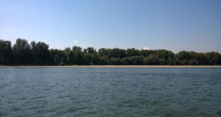 Експерти на РИОСВ-Шумен и Басейнова дирекция Черноморски район провериха сигнал за мъртва риба в река Камчия