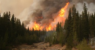 2016-та - рекордна по щети от горски пожари