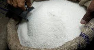 Ръст с 25% в производството на захар в Украйна