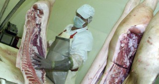 Един от основните проблеми на животновъдите в Кюстендил е липсата на кланица
