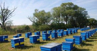 Предстои отваряне на прием за 2017 година по новата пчеларска програма