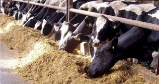 Голяма част от потребителите на agro.bg имат желание да консумират храни, произведени във фермите