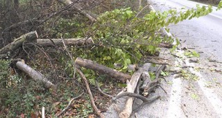 Ураганен вятър причини щети в Добруджа