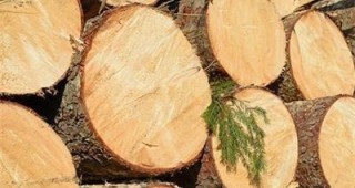 108 обекта за преработка на дървесина ще имат проблем с електронния дневник