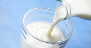 Резистентна на антибиотици бактерия открита в млякото