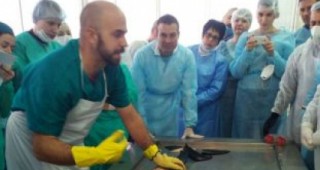 Италиански учен извърши аутопсия на делфини