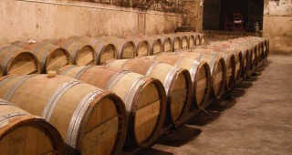 Три винарски изби са глобени в Хасково