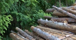 Даряват 1 000 кубични метра едра строителна дървесина за възстановяване на жилищата в Хитрино