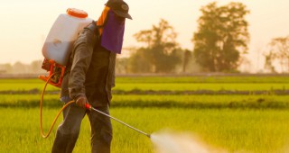 В САЩ: Ограничават употребата на 8 пестицида