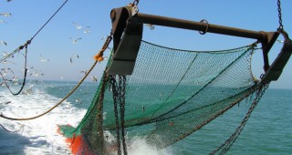 Риболовът с тралове под 800 метра дълбочина да бъде забранен