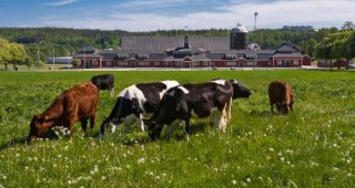 За първи път от 4 години насам доходите на фермерите в Австрия бележат ръст
