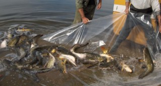 Промени в Закона за рибарството и аквакултурите
