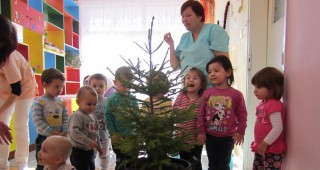 ДГС Шумен подари живи елхички на училища и детски градини