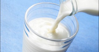 Производството на мляко в Съединените щати продължава да расте