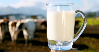 Минск и Москва в спор за качеството на млякото