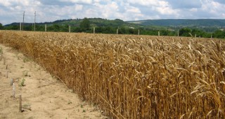 Ще бъдат връчени наградите на Съюза на зърнопроизводителите в Бургас