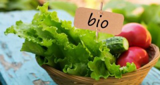Ръст в производството при био продукти