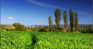 Прилагането на екологични мерки в селското стопанство не води до реално опазване на биоразнообразието в Европа