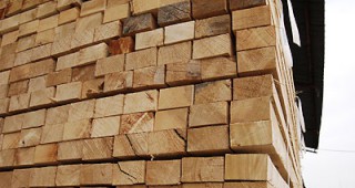 Да се ограничи приема на дървесина с недоказан произход настоява Зам.-министър Костов
