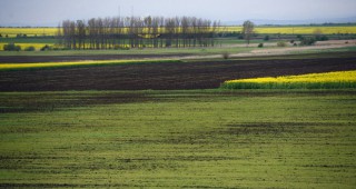 5000 км зелени пояси пазят посевите в Североизточна България