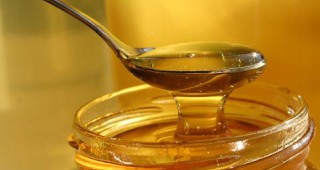 Във Видинско са получили близо 180 тона мед през тази година