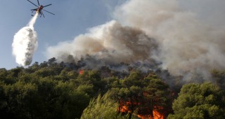 Силни горски пожари са обхванали около 130 000 хектара гори и пасища в Чили