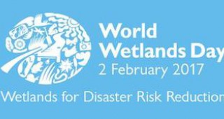 На 2 февруари отбелязваме Световен ден на влажните зони