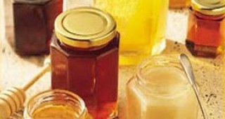 Очаква се странджанският манов мед да бъде регистриран като защитено наименование за произход