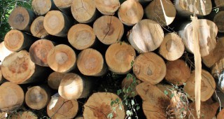 Все повече шуменци избират да се отопляват с дърва