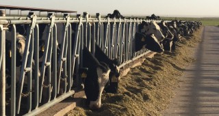 Млечната ферма като печеливш бизнес – опитът на Холандия по време на АГРА 2017