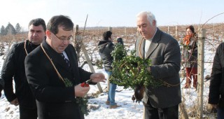 България ще изнесе близо 62 млн. литра вино