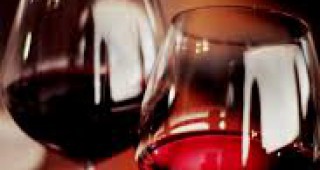 Над 360 проби вина, ракии, винено бренди и спиртни напитки се състезават за Златен ритон на ВИНАРИЯ 2017