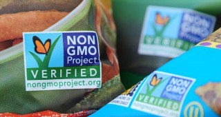 Етикет БЕЗ ГМО - това да се превърне в специален бранд, искат екоорганизации